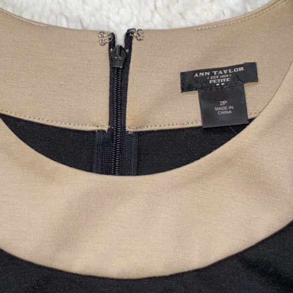 Ann Taylor Black Dress with Beige Trim - Picture 5 of 6